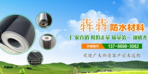 貴州關(guān)于湖南防水卷材的四大固定系統(tǒng)