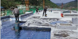 湖南自粘防 水卷材的優(yōu)點是什么？